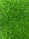 Штучна трава Prettie Grass Karpatia 20